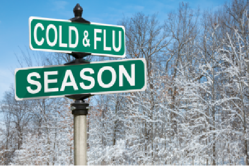 Revealing the Flu, A Typical Seasonal Difficulty