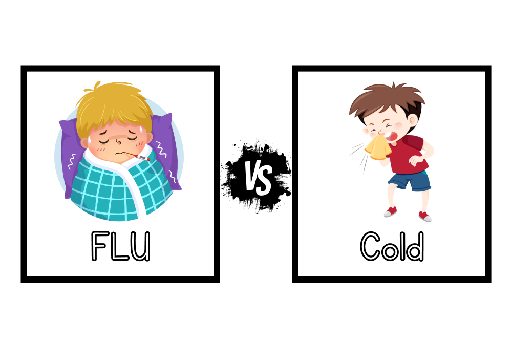 How is the flu different from Cold?